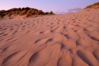 Dunes at Sunset - Franklin Point
